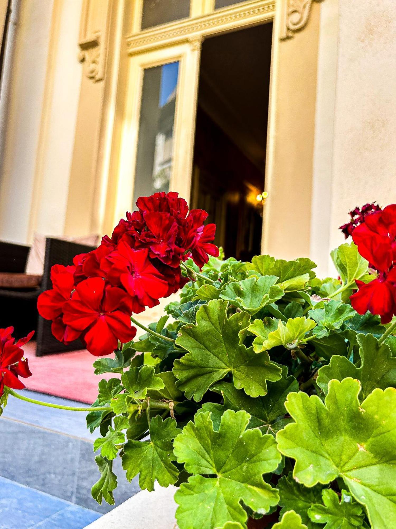 Hotel Boutique Casa Vermont บูคาเรสต์ ภายนอก รูปภาพ